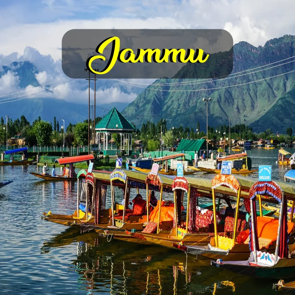 YOYO Jammu